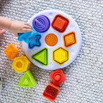 Little Brainies- Plugzy - Fat Brain Toys UK